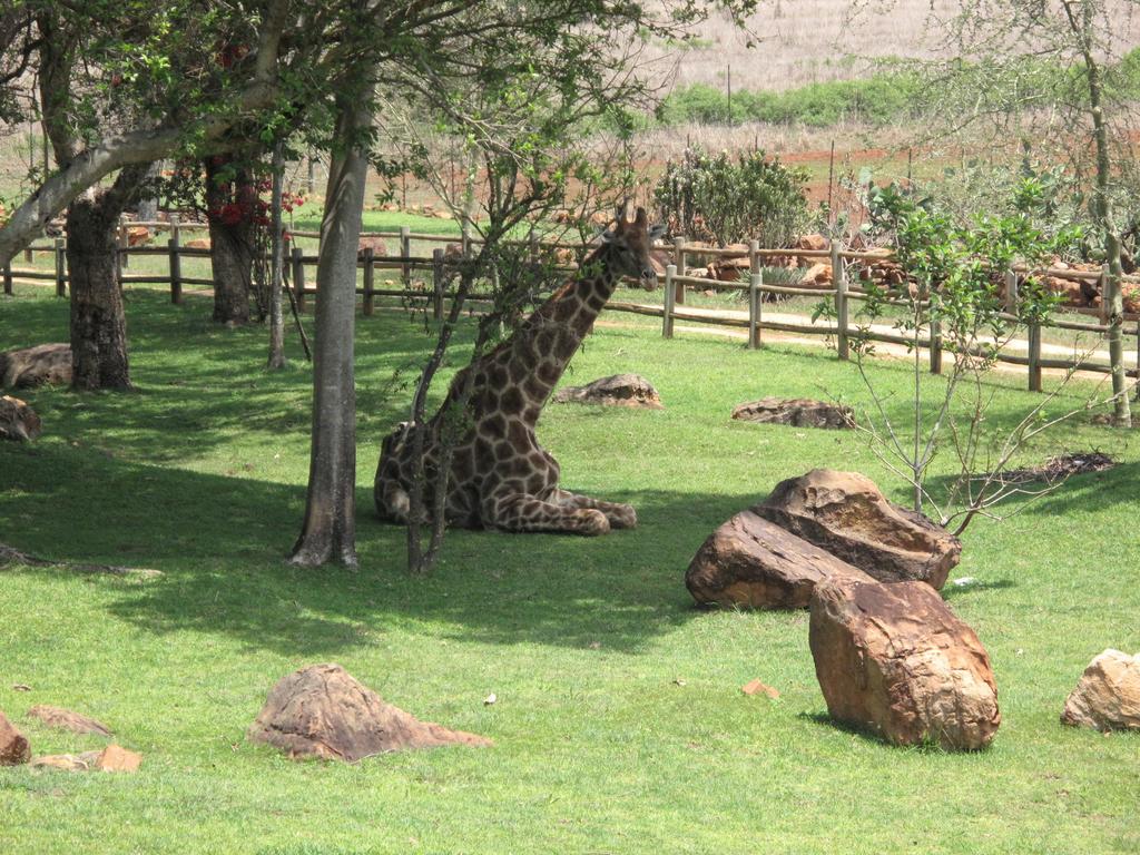 Caracal Lodge Alkmaar Buitenkant foto