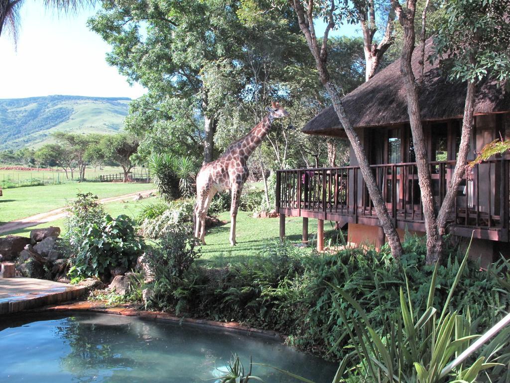 Caracal Lodge Alkmaar Buitenkant foto